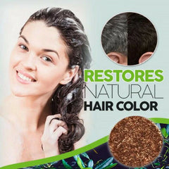 Polygonum Hair Darkening Shampoo Bar