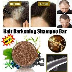 Polygonum Hair Darkening Shampoo Bar