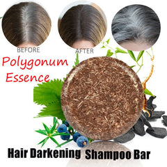 Polygonum Hair Darkening Shampoo Bar
